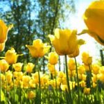 Principal’s Spring Message