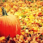 Principal’s October Message